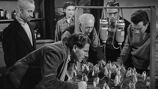 La cosa da un altro mondo (1951): "la cosa" prima di Carpenter 5